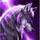 [HELPER] Drago